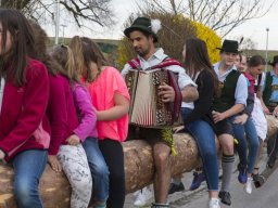 2018 Maibaum in Steinhöring