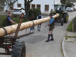 2018 Maibaum in Steinhöring